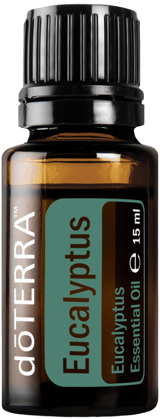doTERRA Eukalyptus Atemwege