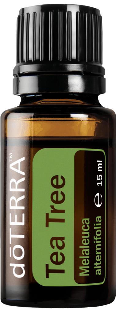 doTERRA Anwendung Haar Teebaum doTERRA Anwendung Haar Teebaum
