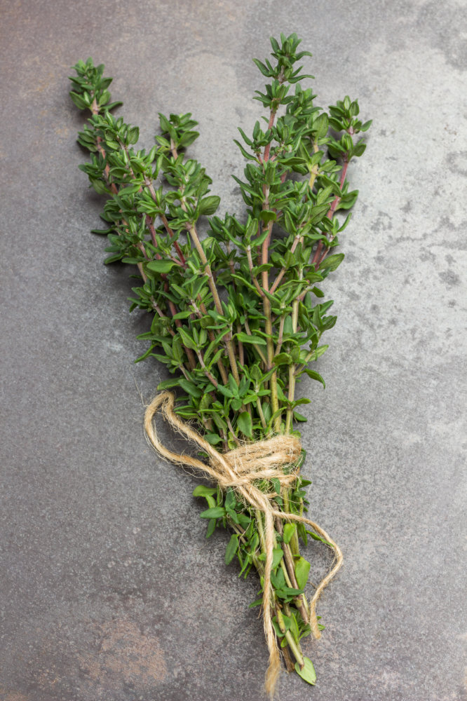 doTERRA Thymianöl doTERRA Thymian